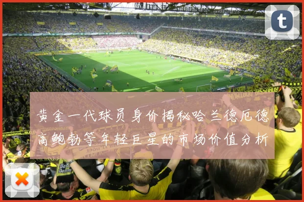 黄金一代球员身价揭秘哈兰德厄德高鲍勃等年轻巨星的市场价值分析