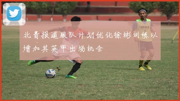 北青报道狼队计划优化徐彬训练以增加其英甲出场机会