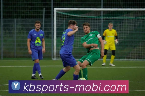 KB体育APP 封面图